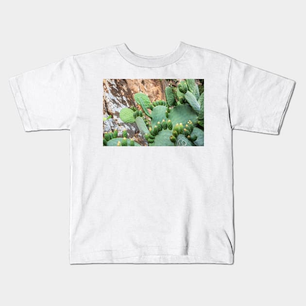 Cactus. Kids T-Shirt by sma1050